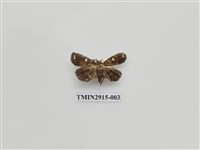 藏品(夜蛾12)的圖片